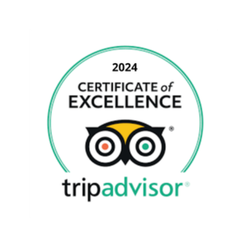 Certificate Tripadvisor